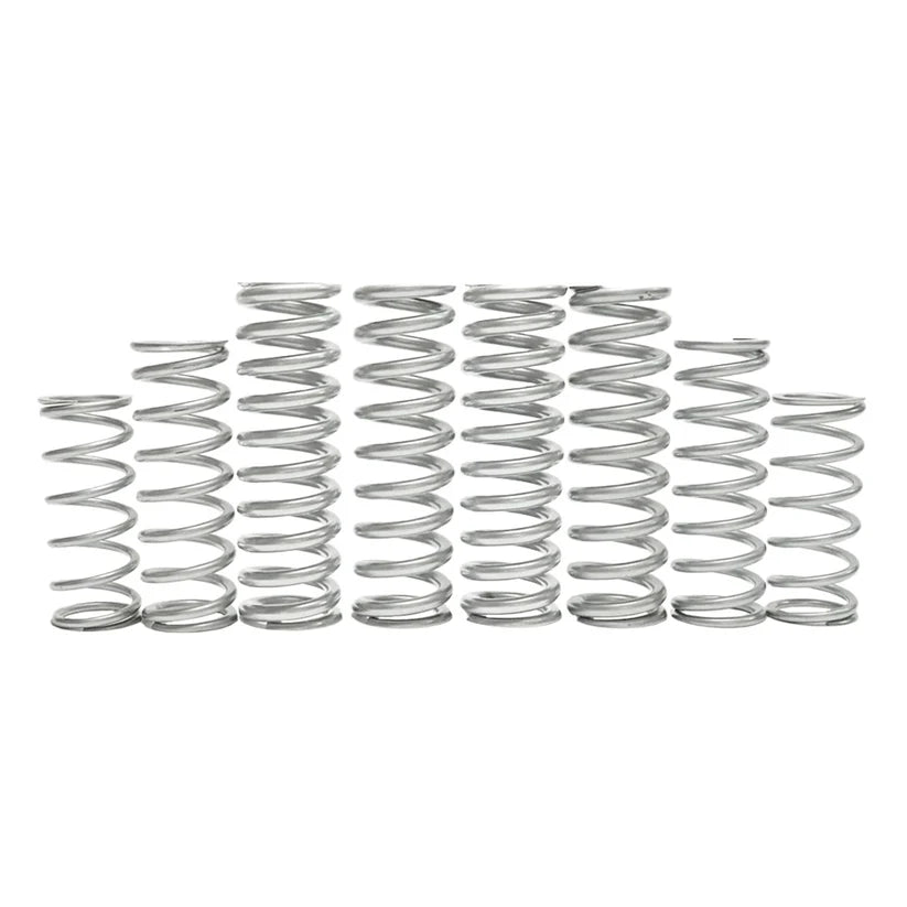 Shock Therapy Maverick R Dual Rate Spring Kit