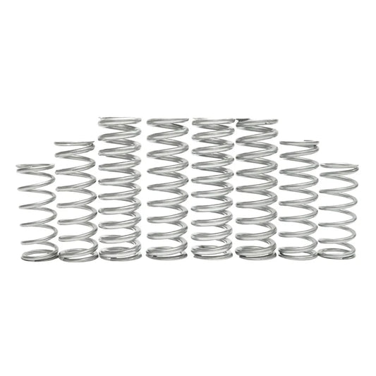 Shock Therapy Maverick R Dual Rate Spring Kit